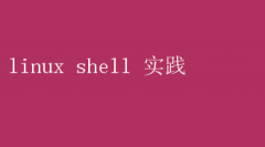 Linux Shellʵɴ