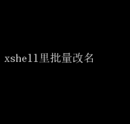 Xshellɣٸ