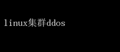 LinuxȺDDoS