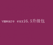 VMware ESXi6.5升级包：一键升级指南