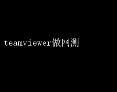 TeamViewer助力高效网络测试