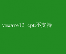 “VMware12：CPU不兼容问题解析”