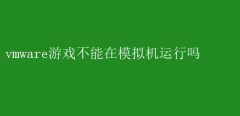 VMware中能否运行游戏？揭秘真相