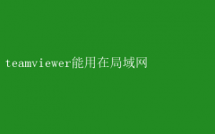 TeamViewer在局域网中的应用：高效远程协作解决方案