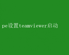 PE环境下配置TeamViewer启动指南