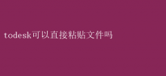 Todesk能否实现直接粘贴文件？一文解析其功能